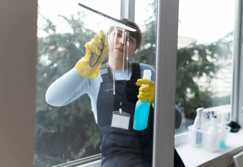 Nettoyage de vitres intérieures et extérieures à Moulins-sur-Céphons